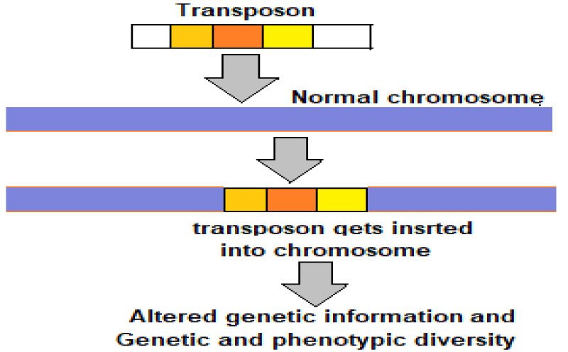 ijcv-aid1025-g004