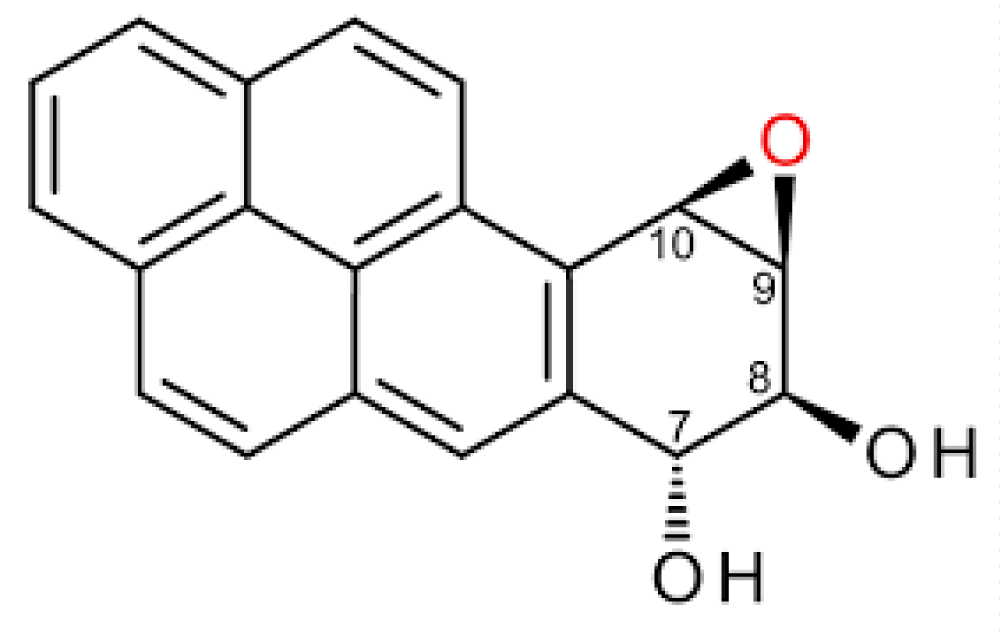 ijcv-aid1031-g006