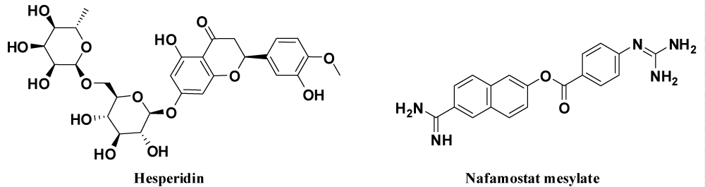 ijcv-aid1036-g010