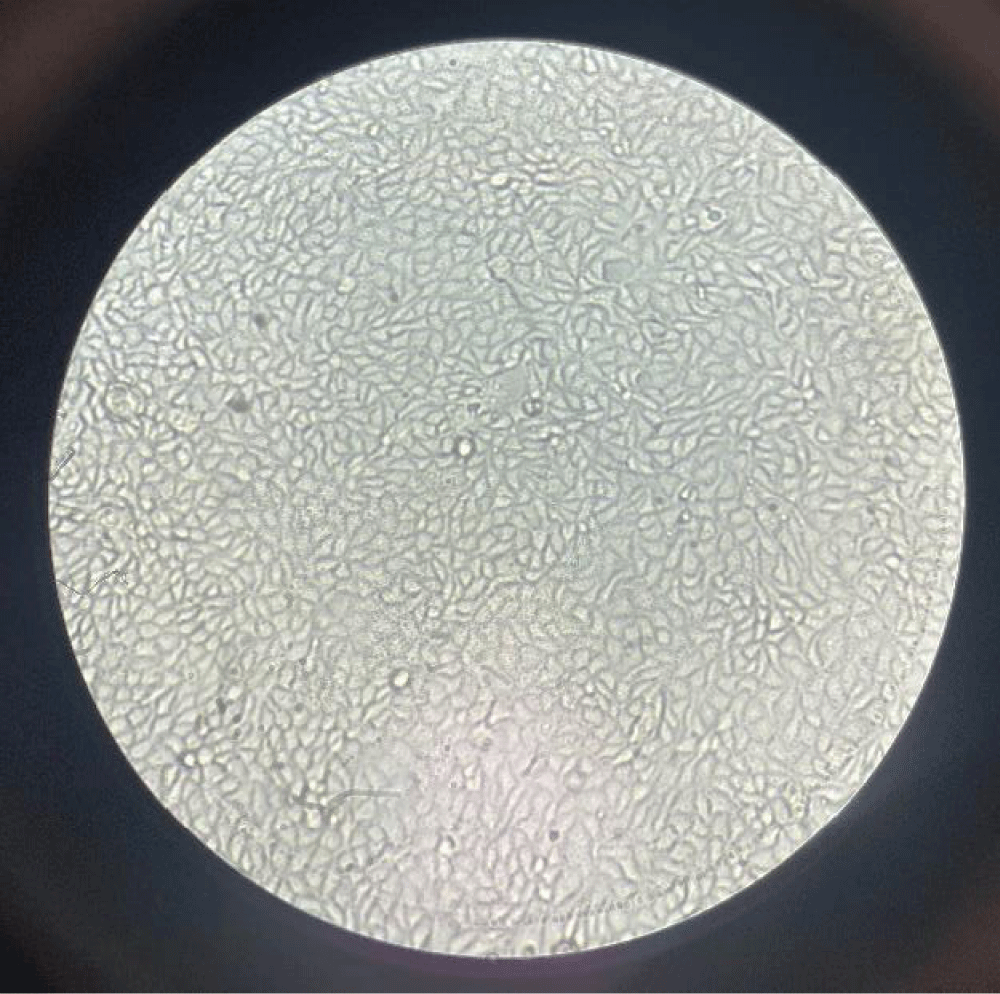 ijcv-aid1065-g002